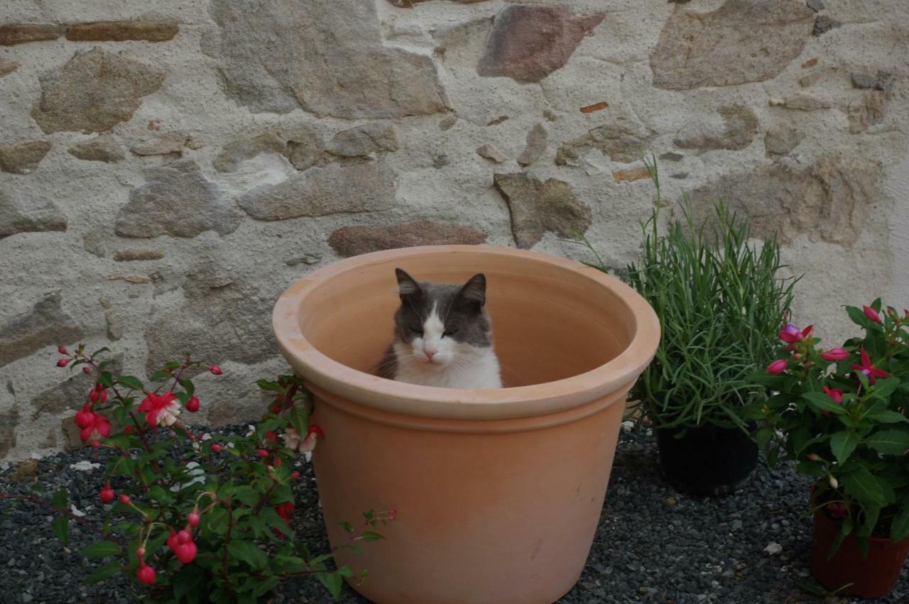 Bed and Breakfast Les Trois Etangs Saint-Viaud Exterior foto
